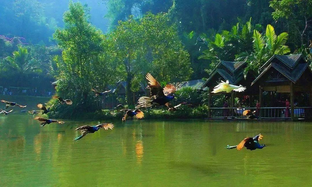 探索天涯,尽在中国非物质文化遗产有哪些